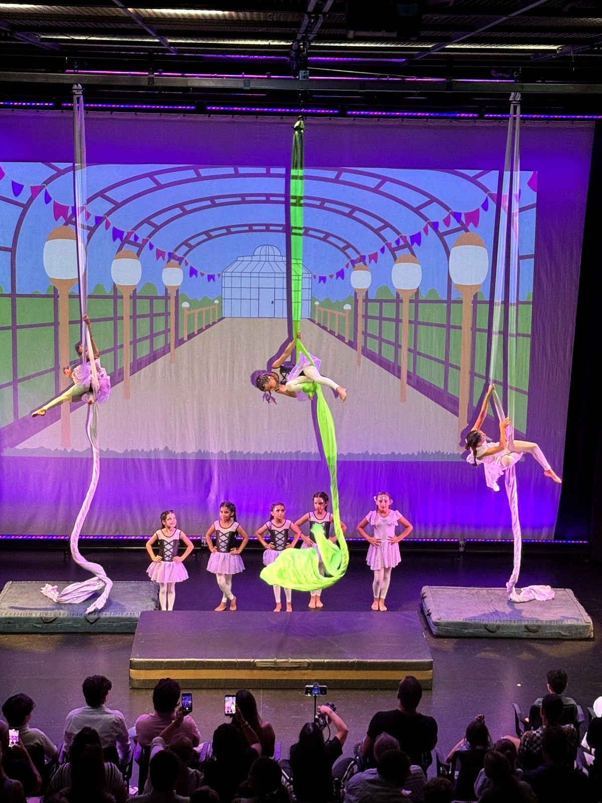 Full group on stage during the show