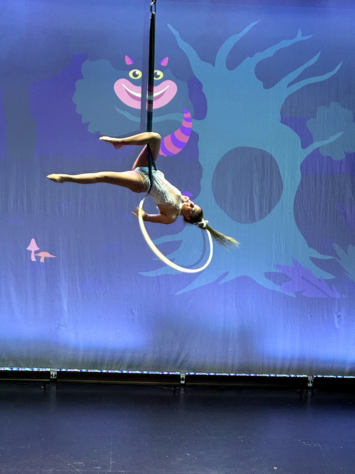 Aerial hoop routine on stage